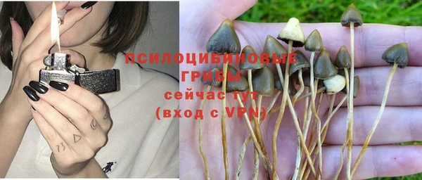 кокс Краснослободск