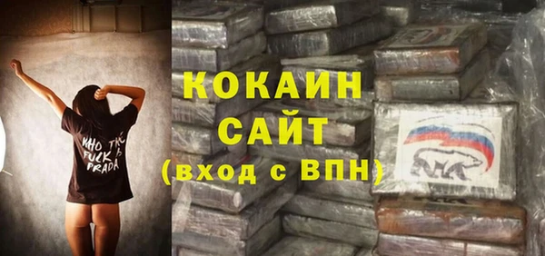 прущие грибы Красноперекопск