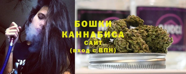 ГАЛЛЮЦИНОГЕННЫЕ ГРИБЫ Кулебаки