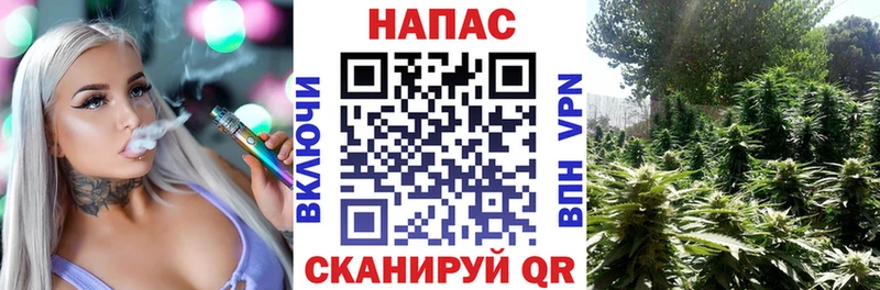 Каннабис марихуана Венёв